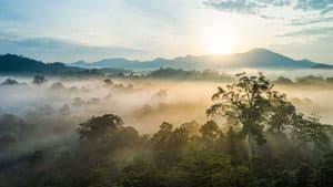 Eden: Untamed Planet: The Making of Special