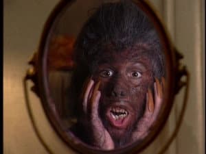 Who's Afraid of Cory Wolf?