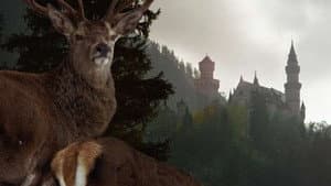 Neuschwanstein: The False Paradise