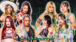 Stardom Year-End Tour 2023 in Kobe
