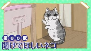 Night 80: The Cat Who Wants the Door Opened