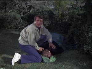 If a Body See a Body