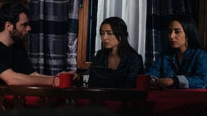 Episode 220