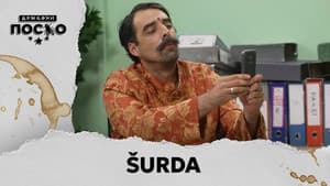 2455 Šurda