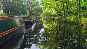 Byfleet to Odiham Castle
