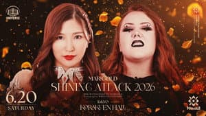 Marigold Shining Attack 2026 ~ Day 14
