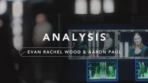 Analysis: Rachel Wood & Aaron Paul