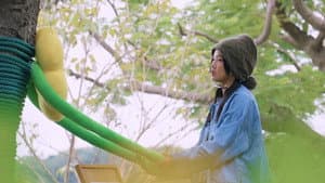 Preview EP3