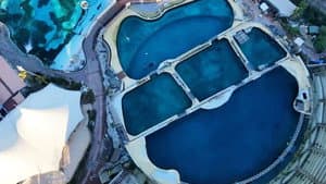 Has the Magic Vanished from Marine Zoos?