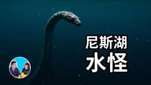 Episode 244