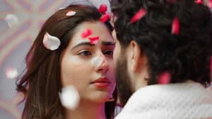 Priya's investigation