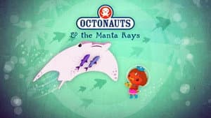 The Manta Rays