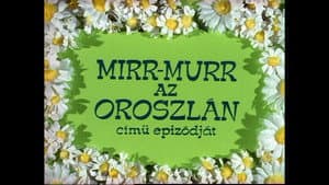 Mirr Murr, az oroszlán