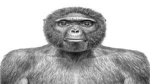 The Extraordinary Story of Man (1) (Second Version)