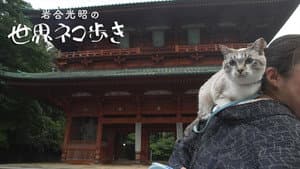 Episode 148