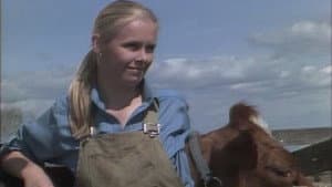 They Shoot Cows? (1)