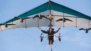 Earthflight: Flying High