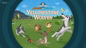 Yellowstone Wolves