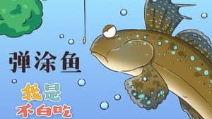 Episode 199