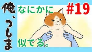 WEB Animation - #19 You look like something.