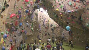 Climbing the Walls of Life