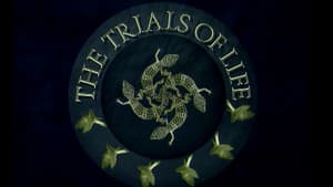 The Making Of The Trials Of Life