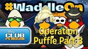 Operation Puffle Part 3