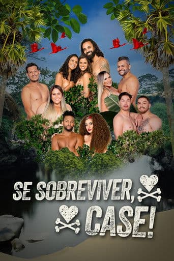 Staffel 4