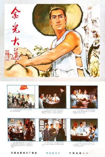 金光大道(中集)