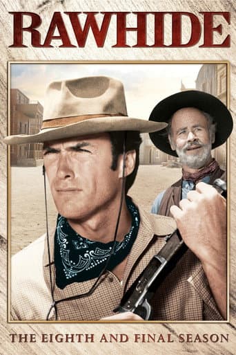 Staffel 8