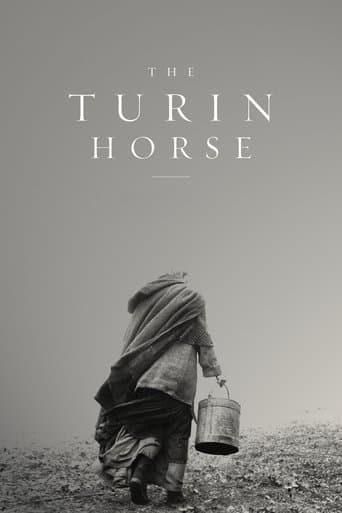 Das Turiner Pferd