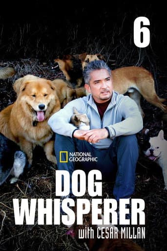 Staffel 6