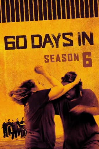 Staffel 6