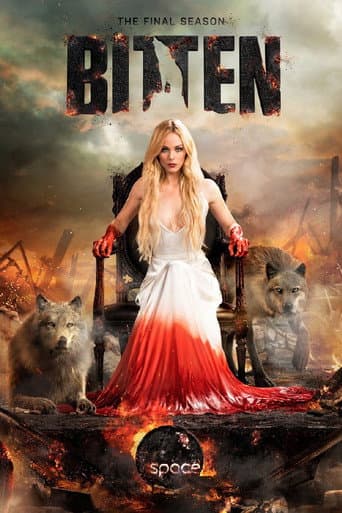 Staffel 3