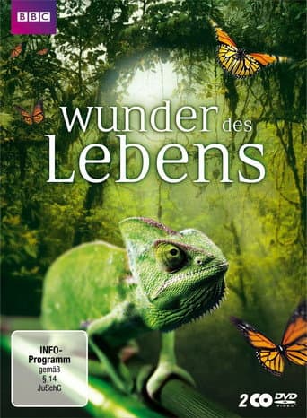 Staffel 1