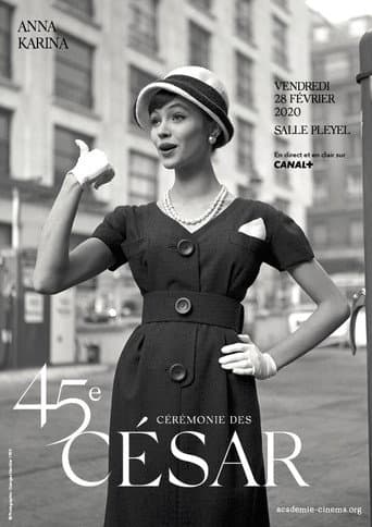 Staffel 45