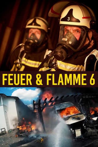 Staffel 6