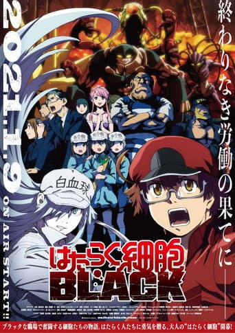 Staffel 1