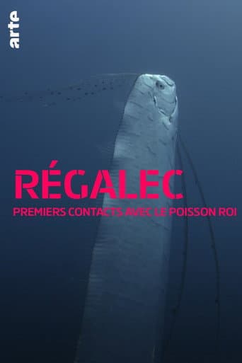 Riemenfische - Riesen der Meere