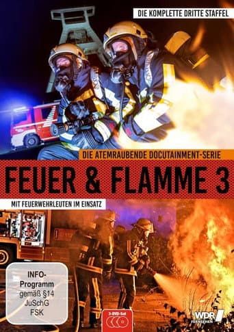 Staffel 3