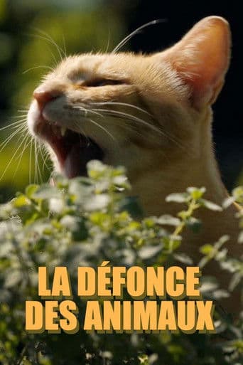 Tierisch high