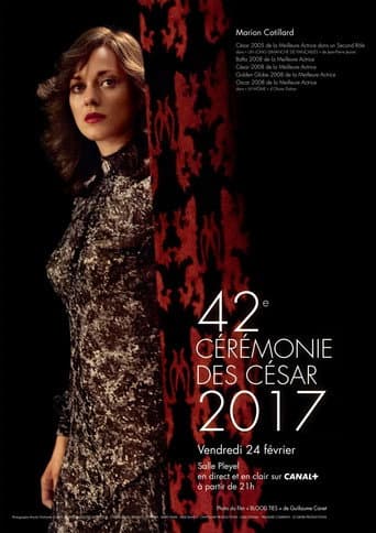 Staffel 42