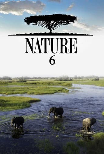 Temporada 6