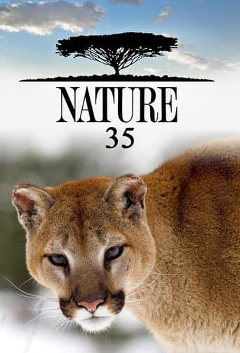 Temporada 35