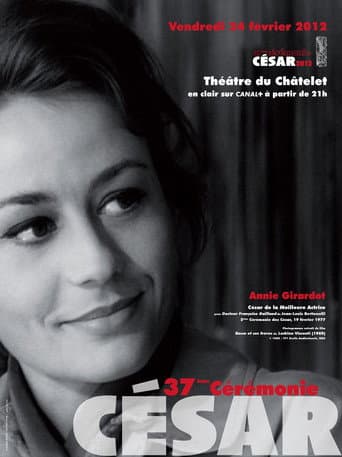 Staffel 37