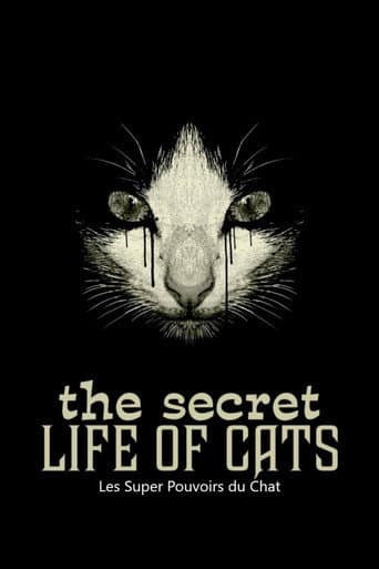 Les Super Pouvoirs du chat