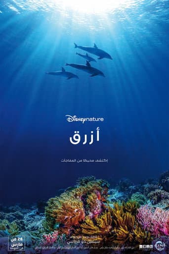 Dolphin Reef