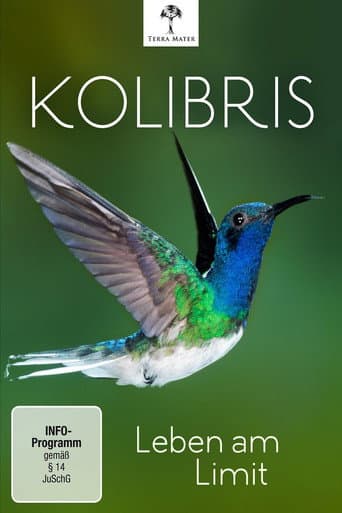 Kolibris: Leben am Limit