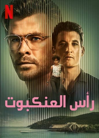 رأس العنكبوت