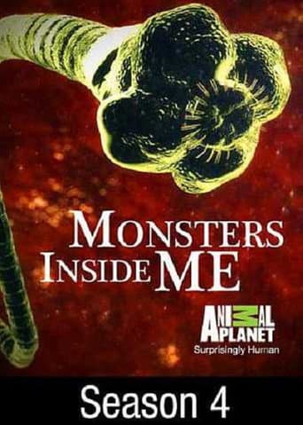 Staffel 4